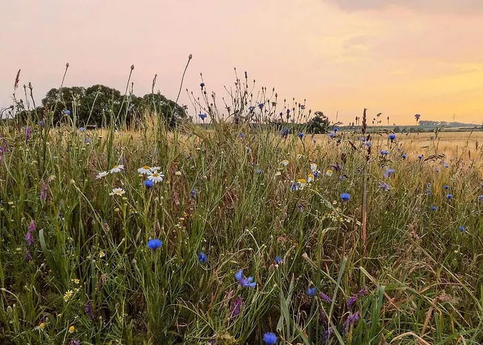 Amazing In Breesen Ot Kaluebbe Сasa de vacaciones Lebbin